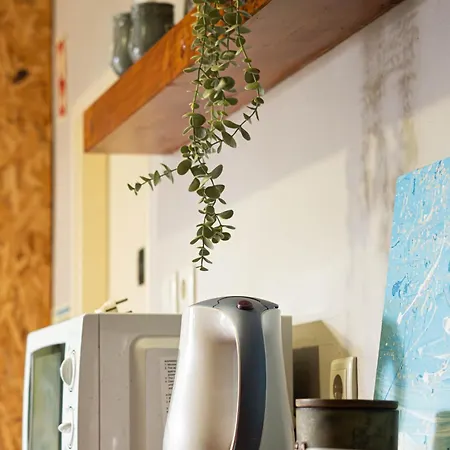 Eco - Tribo Da Albergue Ferrel (Leiria)