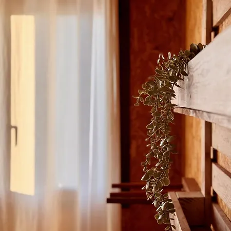 Albergue Eco - Tribo Da