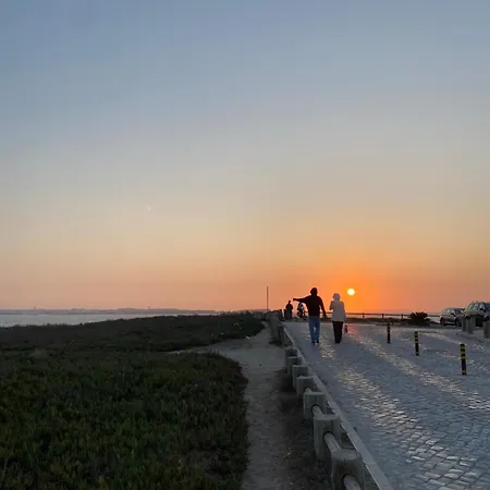 Eco - Tribo Da Albergue