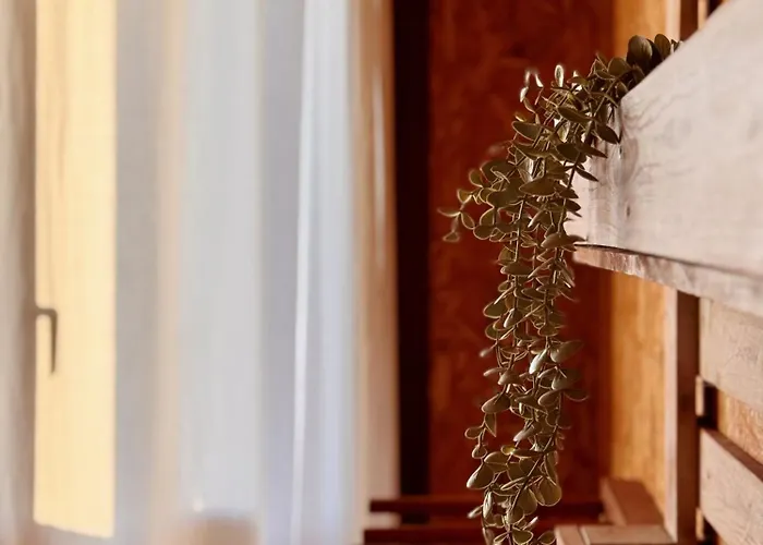 Vandrarhem Eco - Tribo Da